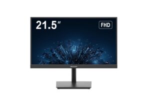 HIKVISION DS-D5022F2-5V2